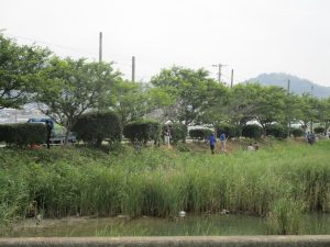草集め２