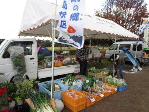 IMG_0566