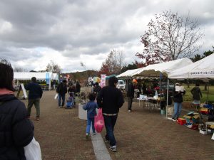 IMG_0595