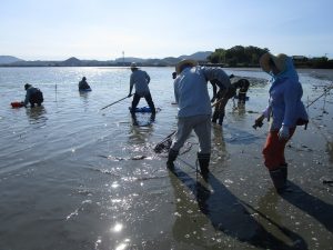 牡蠣殻拾い３